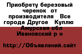 Приобрету березовый черенок  от производителя - Все города Другое » Куплю   . Амурская обл.,Ивановский р-н